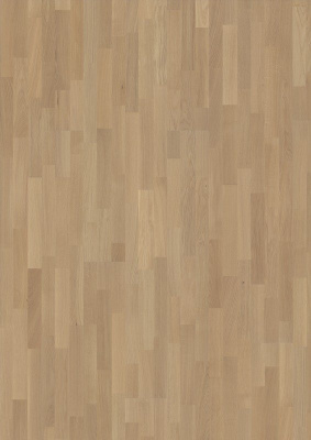 OAK SELECT NEW ARCTIC 3S от торгового дома Академия интерьера